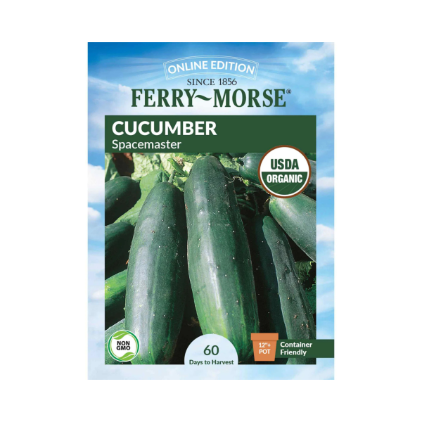 Cucumber - Spacemaster Organic Online Sale