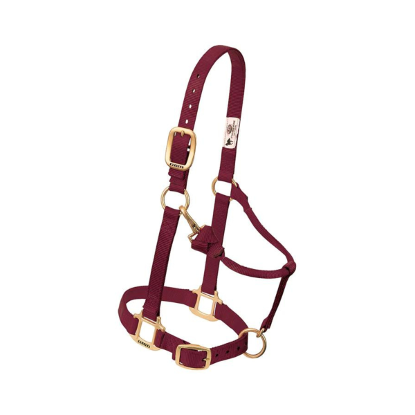 Adjustable Chin & Throat Snap Horse Halter 1  Online now - Image 5