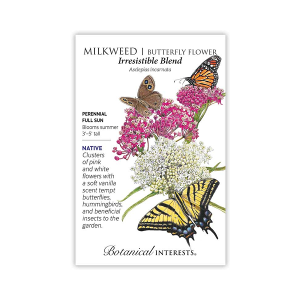 Milkweed Butterfly Flower Irresistible Blend Online