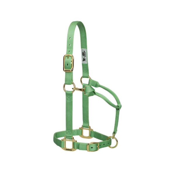 Adjustable Chin & Throat Snap Horse Halter 1  Online now - Image 2
