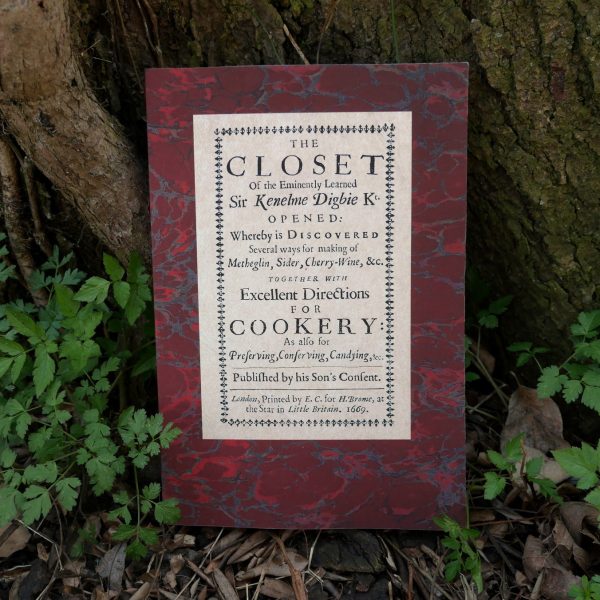 The Closet Opened on Sale